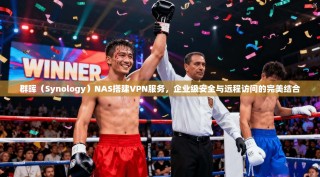 群晖（Synology）NAS搭建VPN服务，企业级安全与远程访问的完美结合