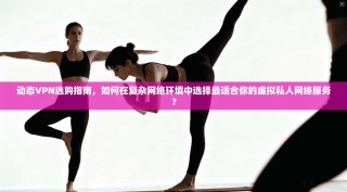 动态VPN选购指南，如何在复杂网络环境中选择最适合你的虚拟私人网络服务？