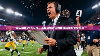 深入解析VPN.UFL，高校网络访问的便捷桥梁与安全挑战