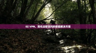 EZ VPN，简化远程访问的智能解决方案