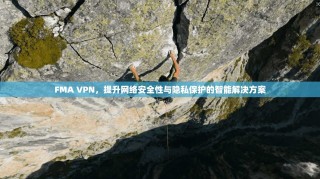 FMA VPN，提升网络安全性与隐私保护的智能解决方案