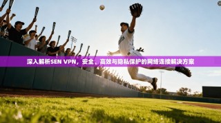 深入解析SEN VPN，安全、高效与隐私保护的网络连接解决方案