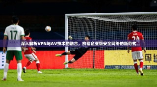 深入解析VPN与AV技术的融合，构建企业级安全网络的新范式