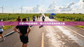 小语VPN价格解析，性价比与安全的权衡之道