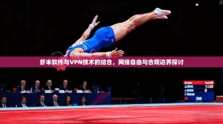 虾米软件与VPN技术的结合，网络自由与合规边界探讨