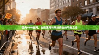 国内VPN官网，合规使用与网络安全的平衡之道
