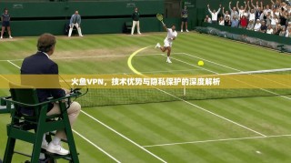 火鱼VPN，技术优势与隐私保护的深度解析