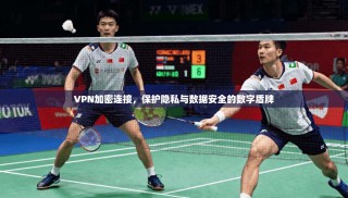 VPN加密连接，保护隐私与数据安全的数字盾牌