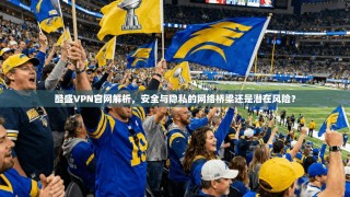 酷盛VPN官网解析，安全与隐私的网络桥梁还是潜在风险？