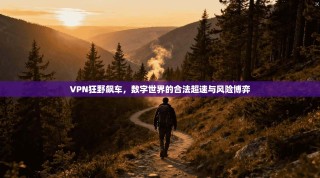 VPN狂野飙车，数字世界的合法超速与风险博弈