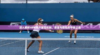 深入解析VPN用户鉴定机制，安全与隐私的平衡之道