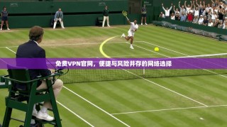 免费VPN官网，便捷与风险并存的网络选择