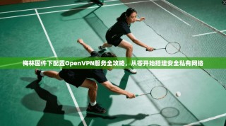 梅林固件下配置OpenVPN服务全攻略，从零开始搭建安全私有网络