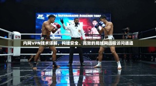 内网VPN技术详解，构建安全、高效的局域网远程访问通道