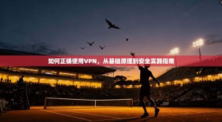 如何正确使用VPN，从基础原理到安全实践指南