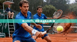 熊貓VPN下載，安全與合法性之間的權衡