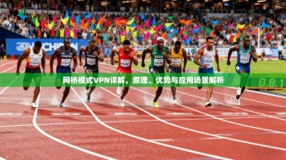 网桥模式VPN详解，原理、优势与应用场景解析