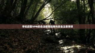 手机获取VPN的合法使用指南与安全注意事项