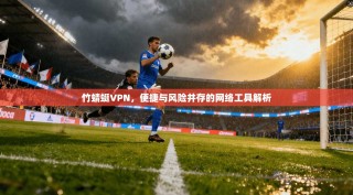 竹蜻蜓VPN，便捷与风险并存的网络工具解析