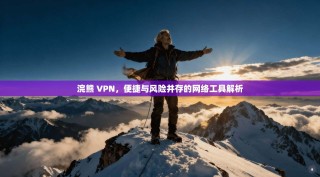浣熊 VPN，便捷与风险并存的网络工具解析