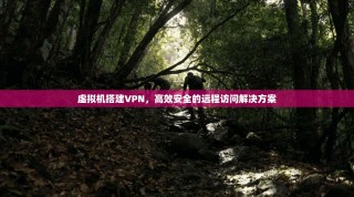 虚拟机搭建VPN，高效安全的远程访问解决方案