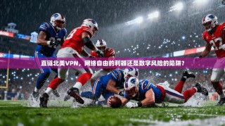 直链北美VPN，网络自由的利器还是数字风险的陷阱？