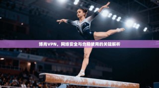 博肖VPN，网络安全与合规使用的关键解析