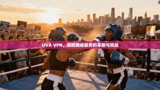 UVA VPN，高校网络服务的革新与挑战
