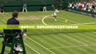 一键连接VPN，便捷背后的网络安全隐患与最佳实践