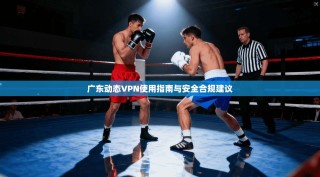 广东动态VPN使用指南与安全合规建议
