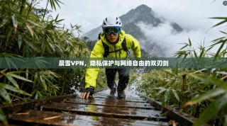 晨雪VPN，隐私保护与网络自由的双刃剑