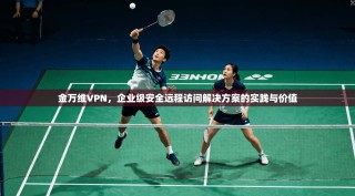 金万维VPN，企业级安全远程访问解决方案的实践与价值