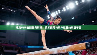 神龙VPN客服服务解析，技术保障与用户权益的双重考量