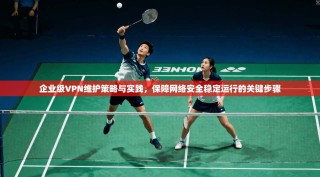 企业级VPN维护策略与实践，保障网络安全稳定运行的关键步骤
