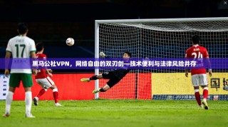 黑马公社VPN，网络自由的双刃剑—技术便利与法律风险并存