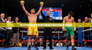 非VPN代理技术在现代网络环境中的应用与挑战