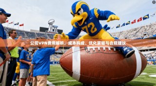 公司VPN费用解析，成本构成、优化策略与合规建议
