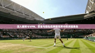 深入解析セVPN，安全与隐私在网络世界中的关键角色
