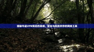 揭秘牛逼VPN背后的真相，安全与风险并存的网络工具