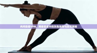 肉鸡隐藏VPN，网络安全中的灰色地带与防范策略