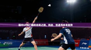国内VPN厂商的合规之路，挑战、机遇与未来趋势