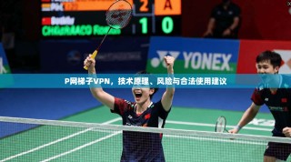 P网梯子VPN，技术原理、风险与合法使用建议