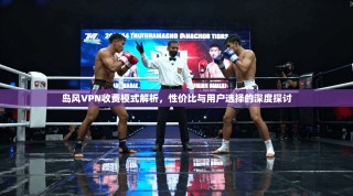 岛风VPN收费模式解析，性价比与用户选择的深度探讨
