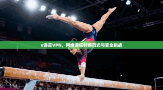 e语言VPN，网络通信的新范式与安全挑战