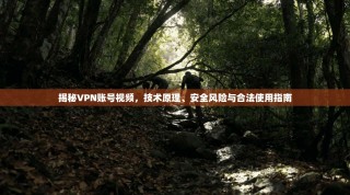 揭秘VPN账号视频，技术原理、安全风险与合法使用指南
