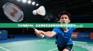 万达电脑VPN，企业网络安全部署的利器与风险警示