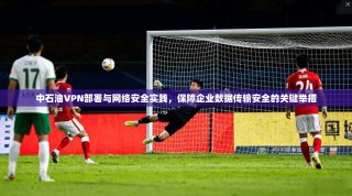中石油VPN部署与网络安全实践，保障企业数据传输安全的关键举措