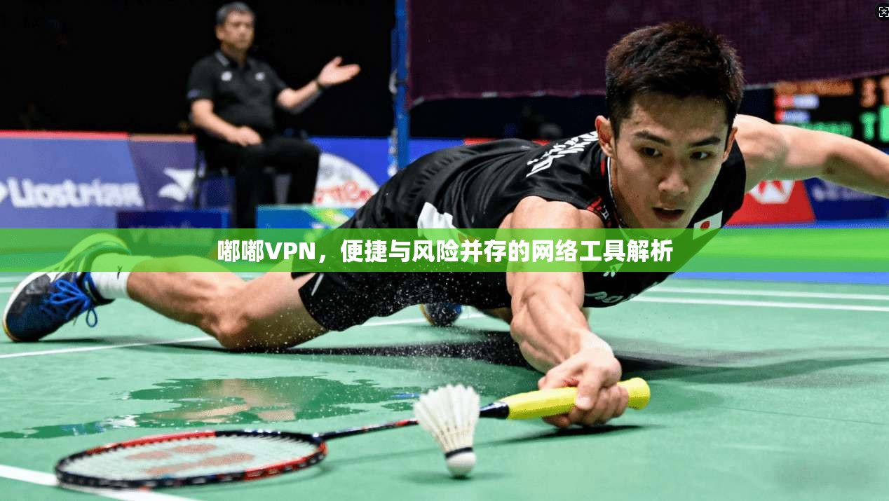 嘟嘟VPN，便捷与风险并存的网络工具解析  第1张