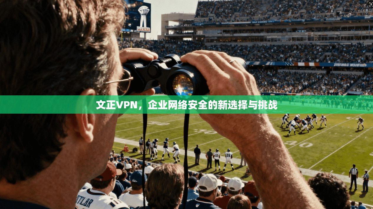 文正VPN，企业网络安全的新选择与挑战  第1张