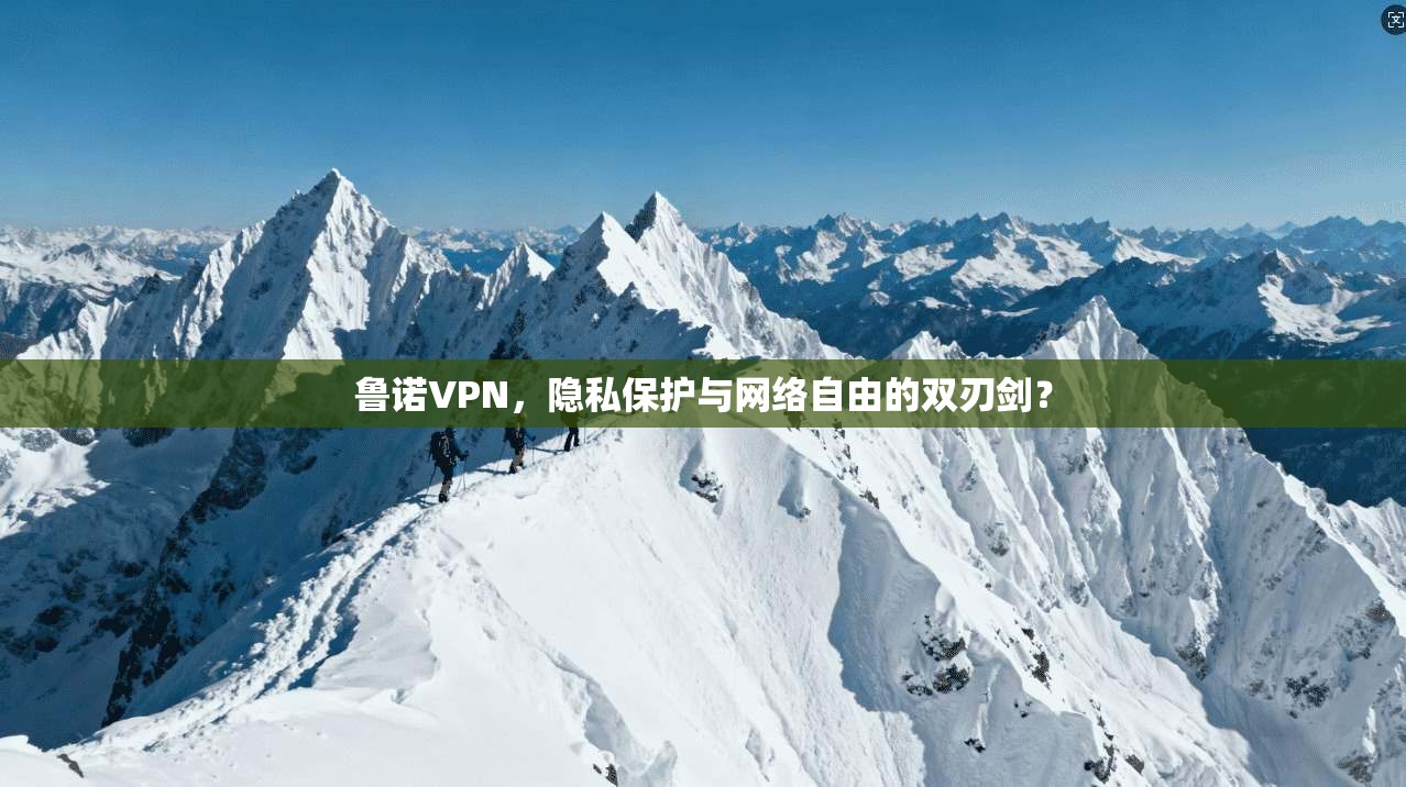 鲁诺VPN，隐私保护与网络自由的双刃剑？  第1张